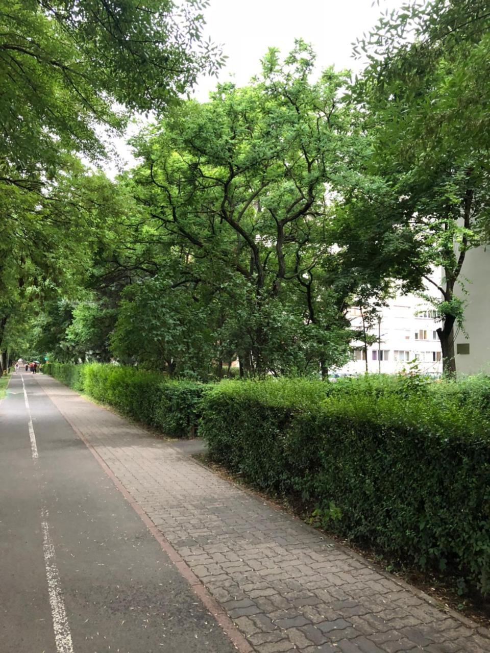 Smp Apartment 3 Temesvár Kültér fotó